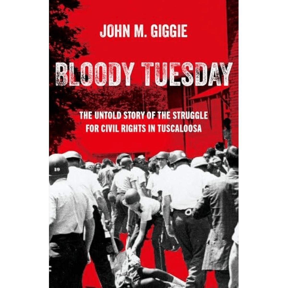 The Last Slave Ship Book Cover